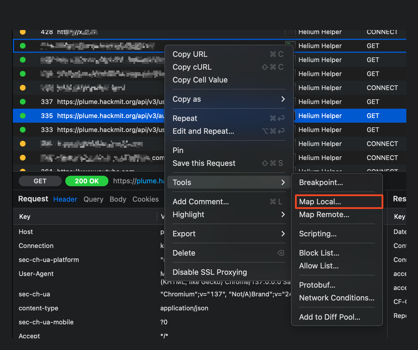 Mapping whoami request to a local JSON file